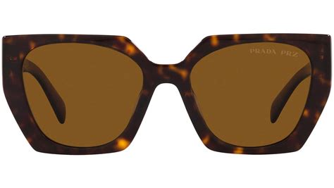 prada cat eye tortoiseshell sunglasses|prada pr 15ws sunglasses.